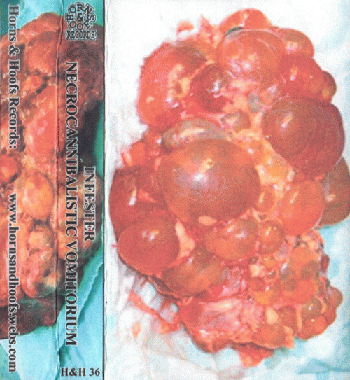 Infester (USA-2) : Infester - Necrocannibalistic Vomitorium